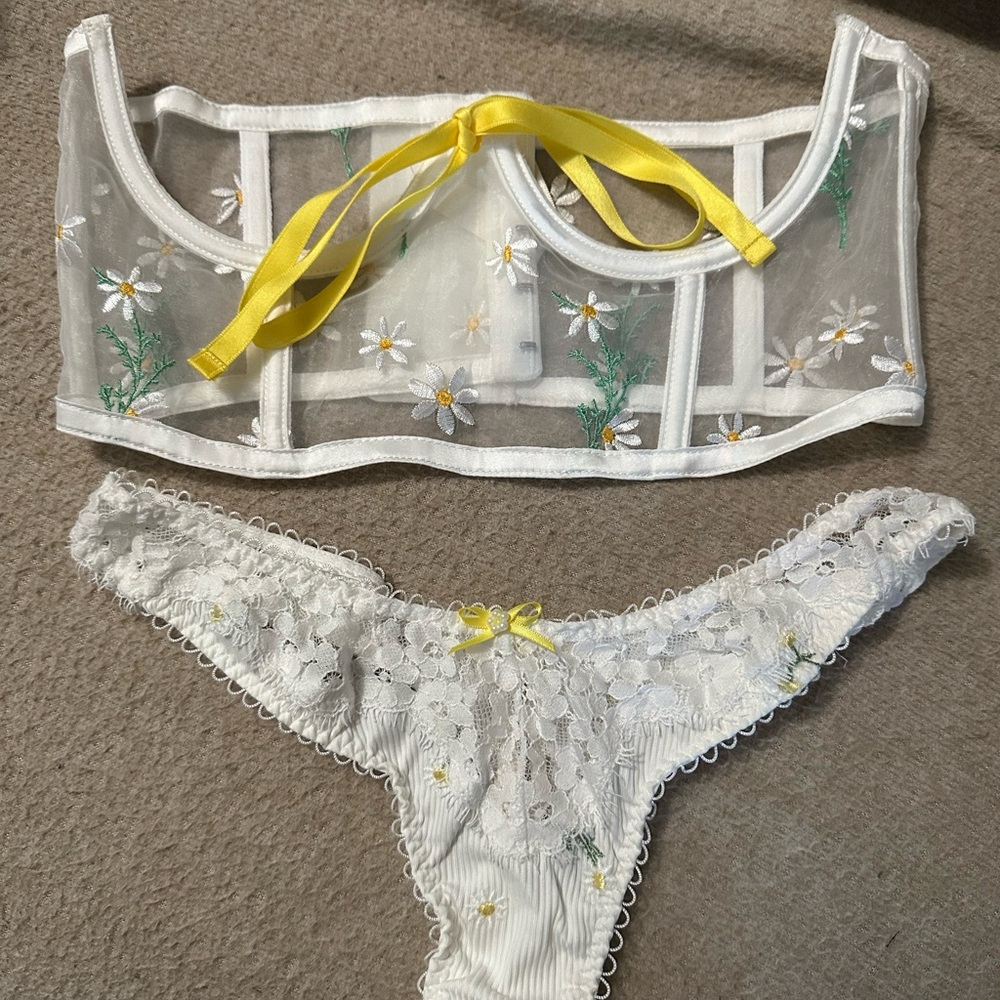 For love and lemons underbust set